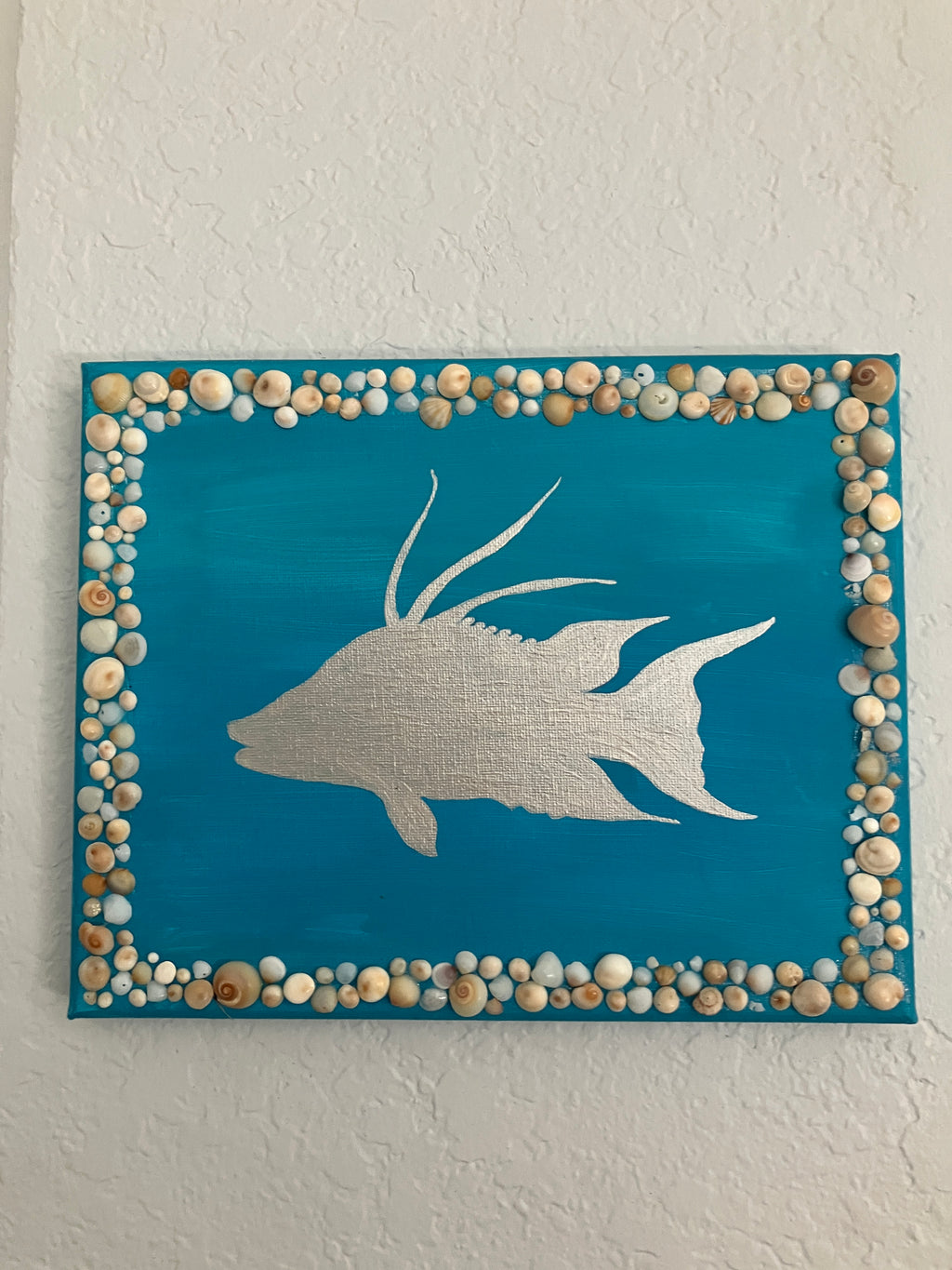 Hogfish Shell Mosaic