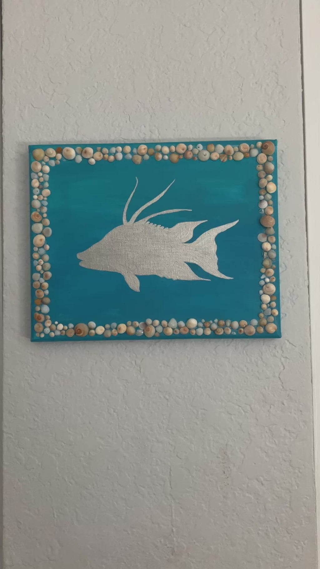 Hogfish Shell Mosaic