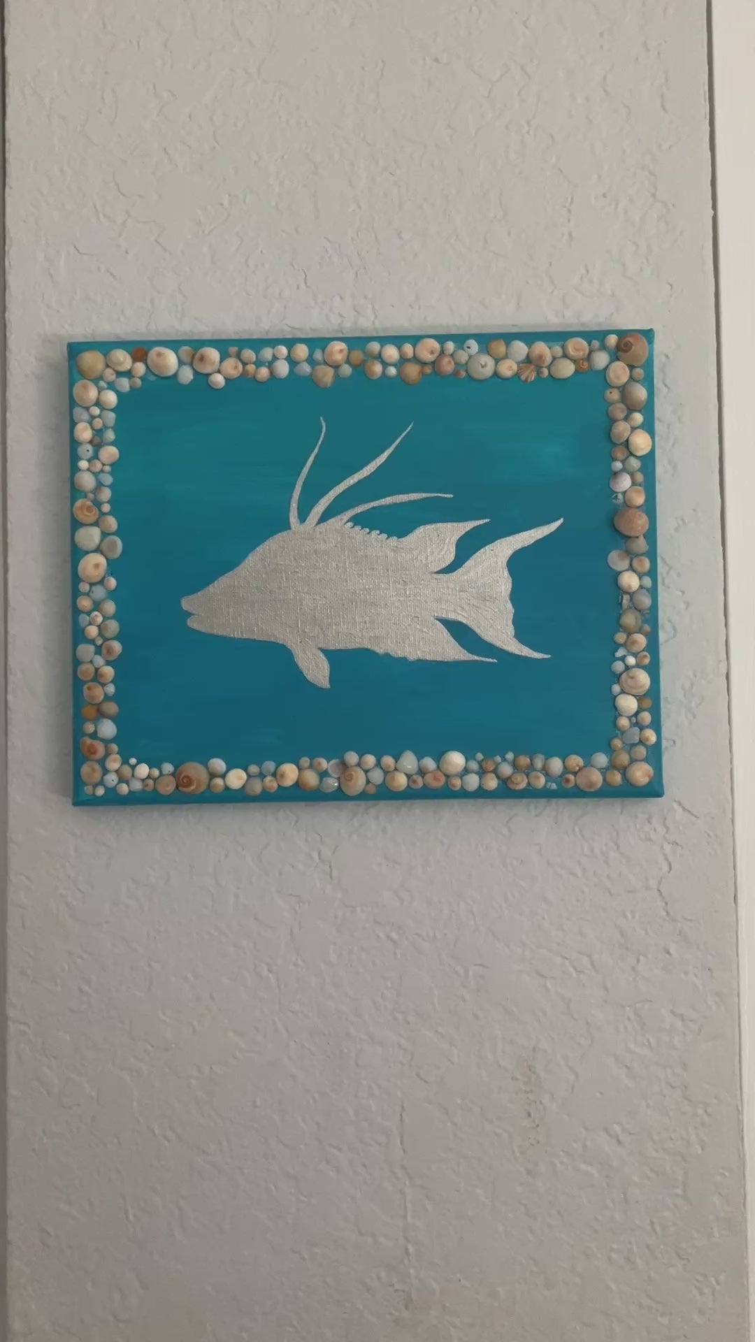 Hogfish Shell Mosaic